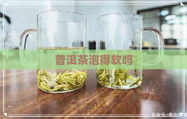 普洱茶泡得软吗