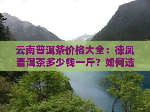 云南普洱茶价格大全：德凤普洱茶多少钱一斤？如何选购和品鉴普洱茶？