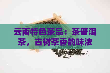 云南特色茶品：茶普洱茶，古树茶香韵味浓