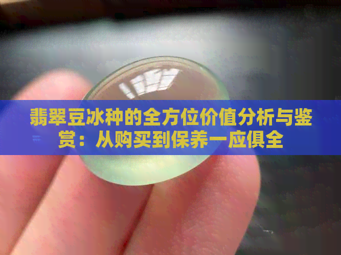 翡翠豆冰种的全方位价值分析与鉴赏：从购买到保养一应俱全