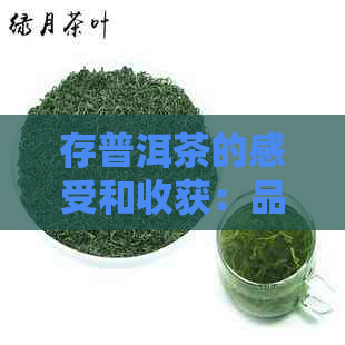 存普洱茶的感受和收获：品饮过程中的文化体验与人生哲理