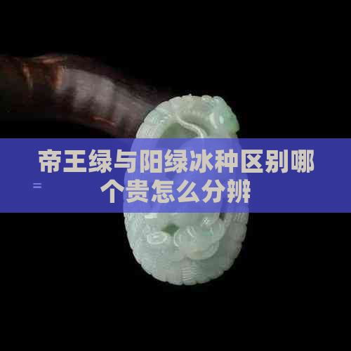 帝王绿与阳绿冰种区别哪个贵怎么分辨