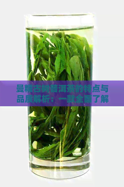 曼糯古树普洱茶的特点与品质解析：一款全面了解的茶叶指南