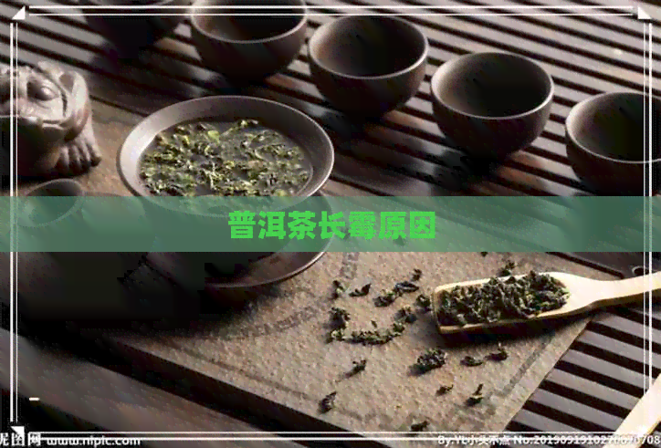 普洱茶长霉原因