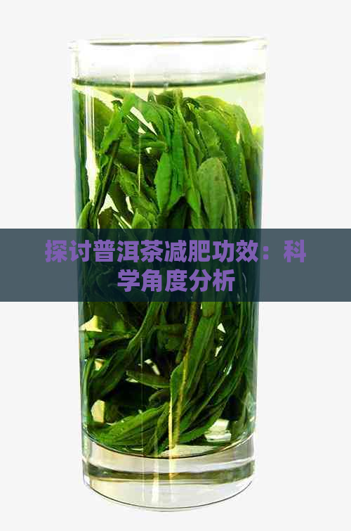 探讨普洱茶减肥功效：科学角度分析