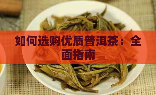 如何选购优质普洱茶：全面指南