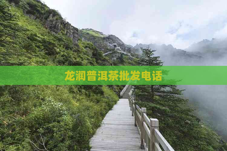 龙润普洱茶批发电话