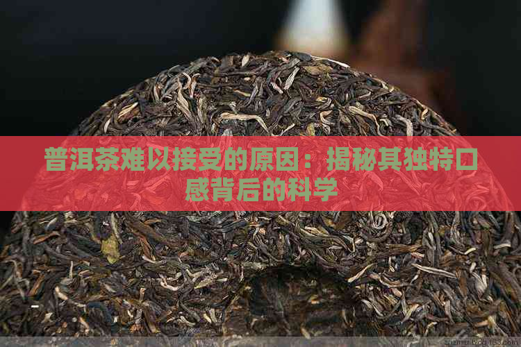 普洱茶难以接受的原因：揭秘其独特口感背后的科学