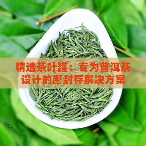 精选茶叶罐：专为普洱茶设计的密封存解决方案