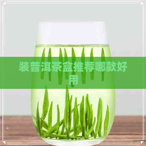 装普洱茶盒推荐哪款好用