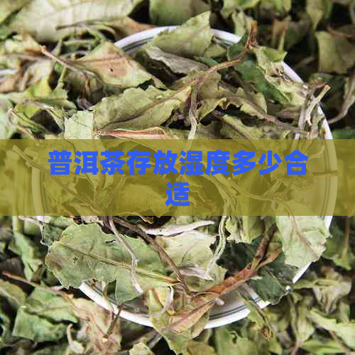 普洱茶存放湿度多少合适