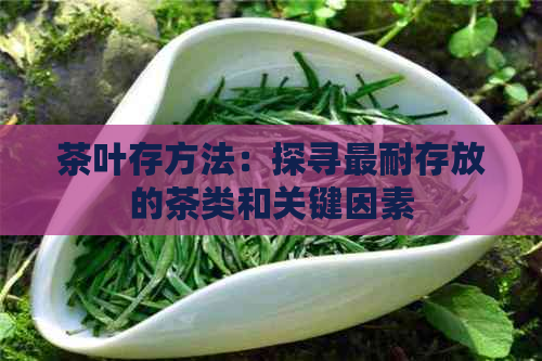 茶叶存方法：探寻最耐存放的茶类和关键因素