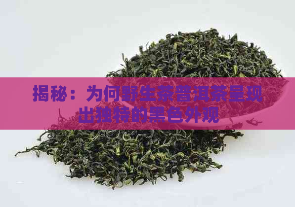 揭秘：为何野生茶普洱茶呈现出独特的黑色外观