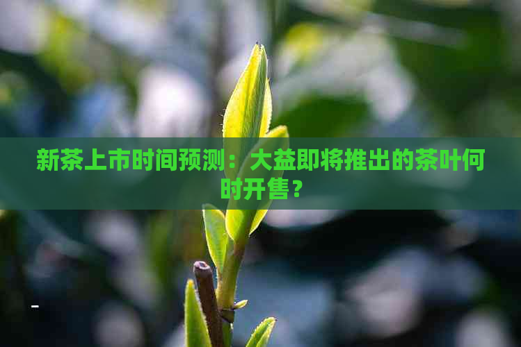 新茶上市时间预测：大益即将推出的茶叶何时开售？