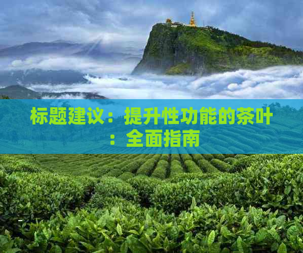 标题建议：提升性功能的茶叶：全面指南