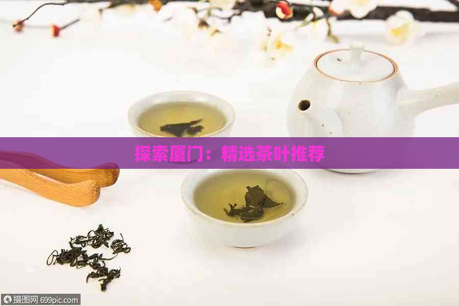 探索厦门：精选茶叶推荐