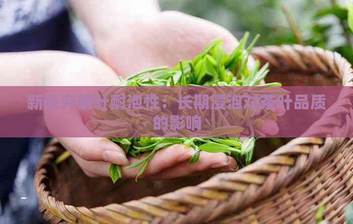 新探究茶叶耐泡性：长期浸泡对茶叶品质的影响