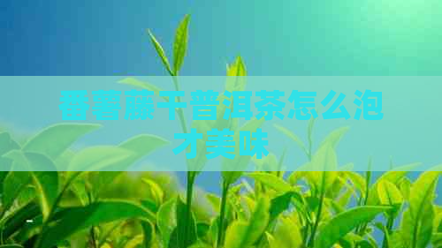 番薯藤干普洱茶怎么泡才美味