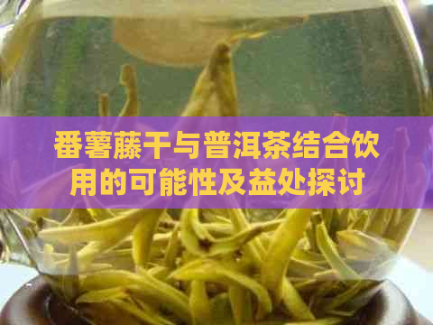 番薯藤干与普洱茶结合饮用的可能性及益处探讨