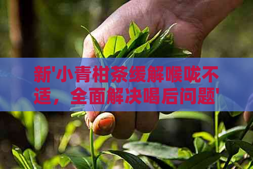 新'小青柑茶缓解喉咙不适，全面解决喝后问题'