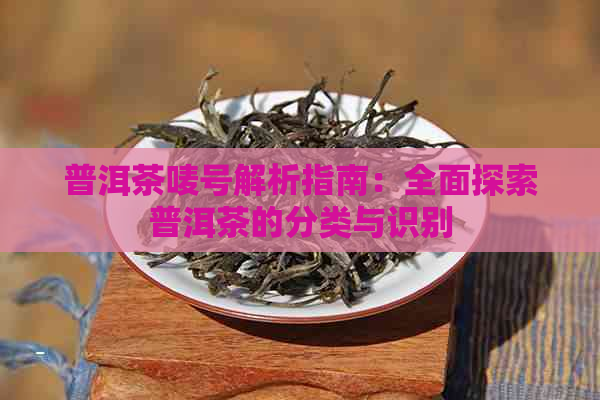 普洱茶唛号解析指南：全面探索普洱茶的分类与识别