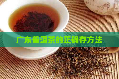 广东普洱茶的正确存方法