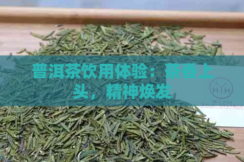 普洱茶饮用体验：茶香上头，精神焕发