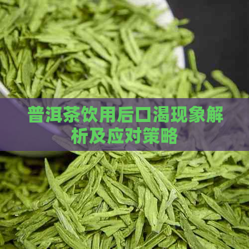 普洱茶饮用后口渴现象解析及应对策略