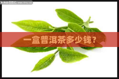 一盒普洱茶多少钱？