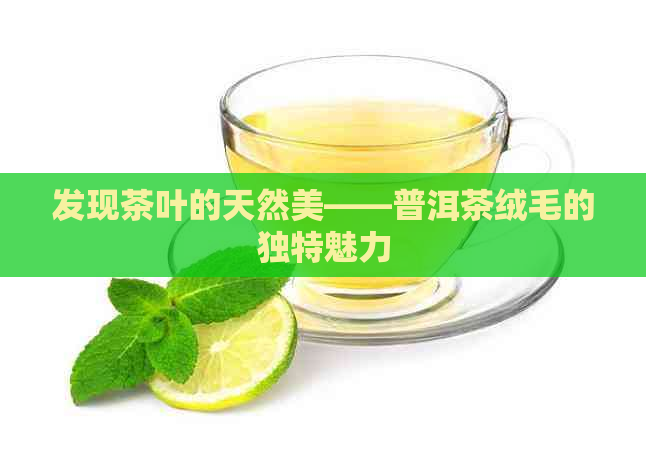 发现茶叶的天然美——普洱茶绒毛的独特魅力