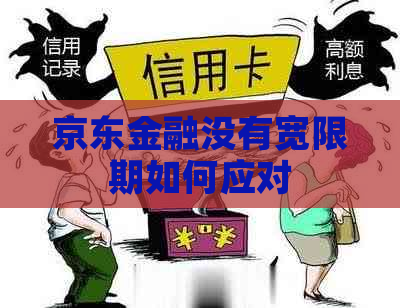 京东金融没有宽限期如何应对