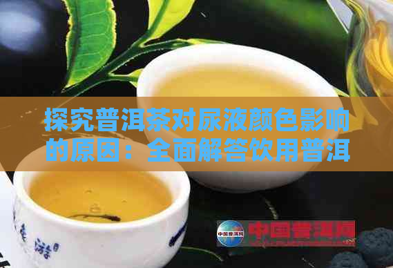 探究普洱茶对尿液颜色影响的原因：全面解答饮用普洱茶后尿液变红的科学依据