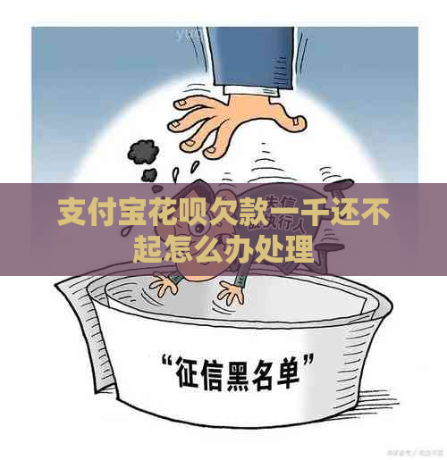 支付宝花呗欠款一千还不起怎么办处理