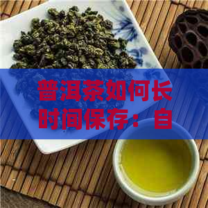 普洱茶如何长时间保存：自封袋保存指南