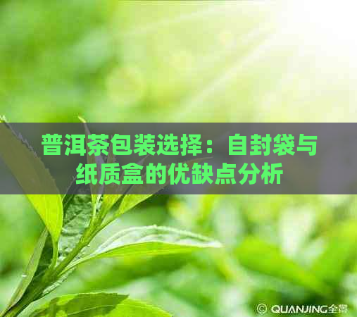 普洱茶包装选择：自封袋与纸质盒的优缺点分析