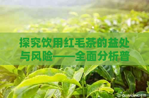 探究饮用红毛茶的益处与风险——全面分析普洱茶的好处和潜在问题