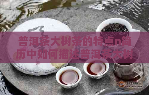 普洱茶大树茶的特点n简历中如何描述普洱茶大树茶？