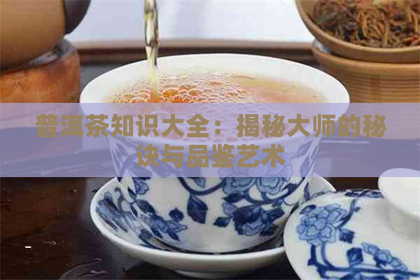 普洱茶知识大全：揭秘大师的秘诀与品鉴艺术