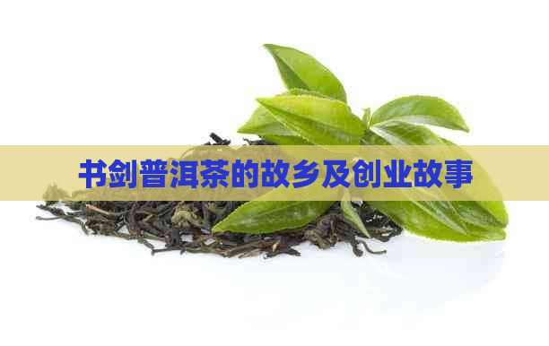 书剑普洱茶的故乡及创业故事