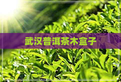 武汉普洱茶木盒子