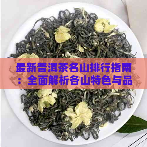 最新普洱茶名山排行指南：全面解析各山特色与品鉴要点