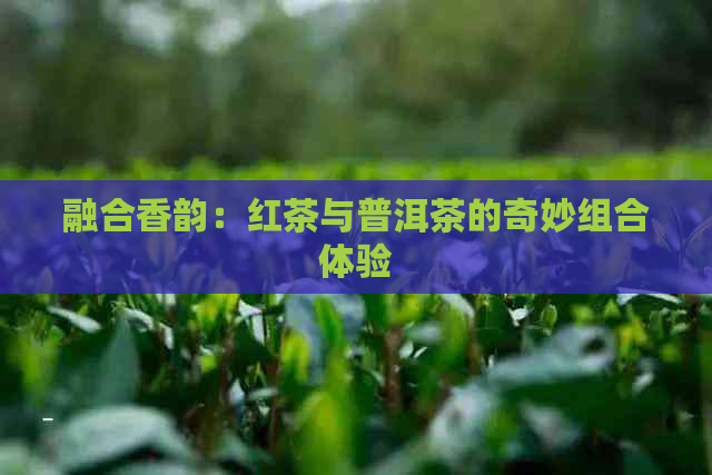 融合香韵：红茶与普洱茶的奇妙组合体验