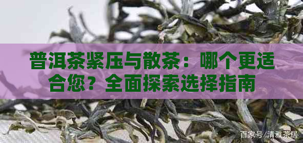 普洱茶紧压与散茶：哪个更适合您？全面探索选择指南