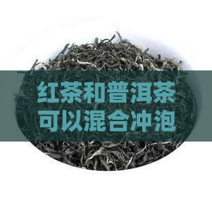 红茶和普洱茶可以混合冲泡吗？