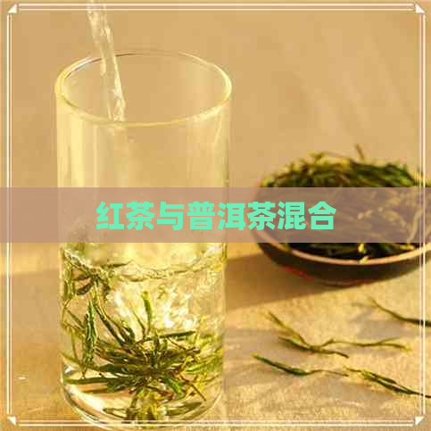 红茶与普洱茶混合