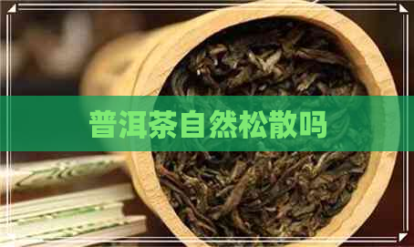 普洱茶自然松散吗