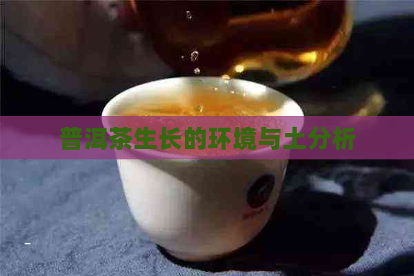 普洱茶生长的环境与土分析