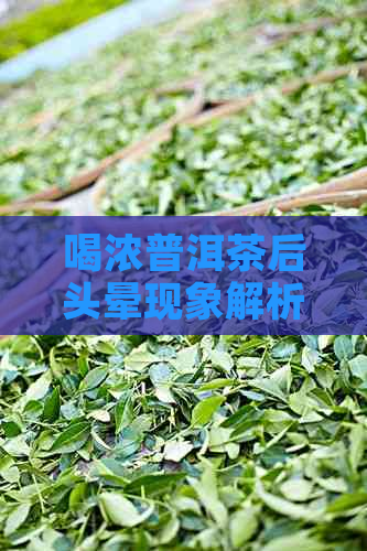 喝浓普洱茶后头晕现象解析