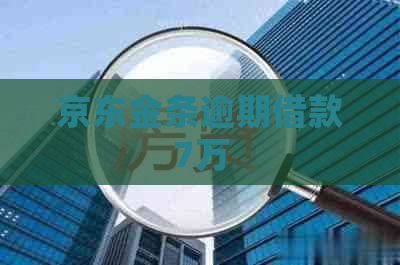 京东金条逾期借款7万