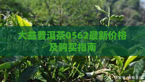 大益普洱茶0562最新价格及购买指南